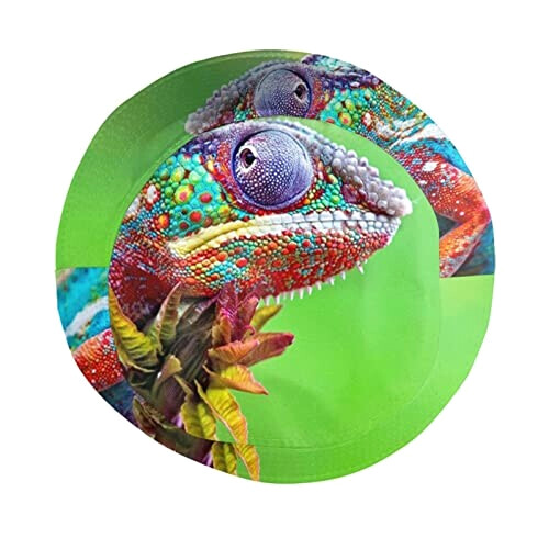 Bob Caméléon cool chameleon homme/femme variant 2 