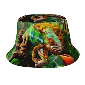 Bob Caméléon adorable taille unique homme/femme