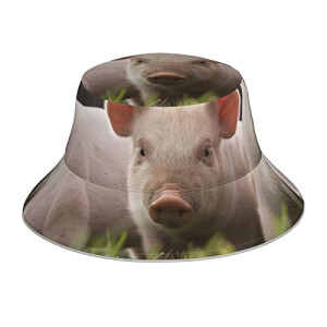 Bob Cochon noir taille unique homme/femme