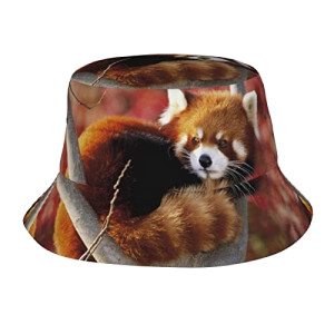 Bob Coq panda rouge taille unique homme/femme