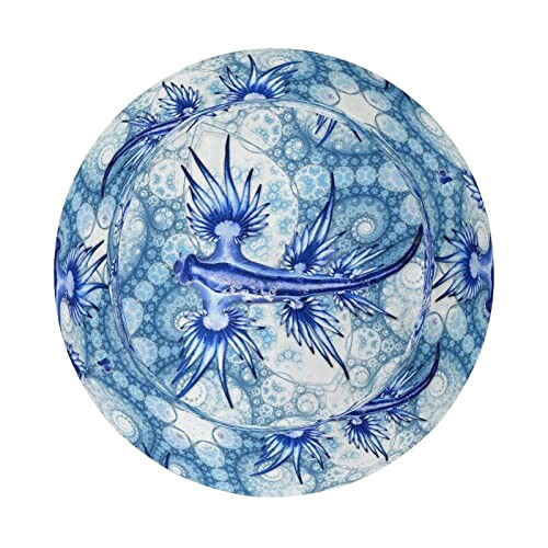 Bob Dragon bleu sea slug nudibranch glaucus atlantic taille unique homme/femme variant 3 