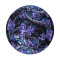 Bob Dragon bleu sea slug nudibranch glaucus atlantic taille unique homme/femme - miniature variant 4