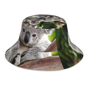 Bob Koala noir taille unique homme/femme
