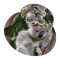 Bob Koala noir taille unique homme/femme - miniature variant 2