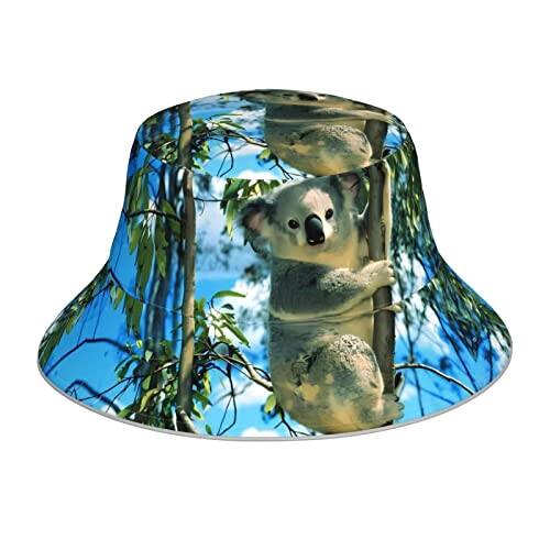 Bob Koala noir taille unique homme/femme
