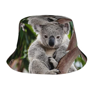 Bob Koala mignon taille unique homme/femme