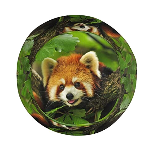 Bob Panda comme indiqué sur la photo taille unique homme/femme variant 2 