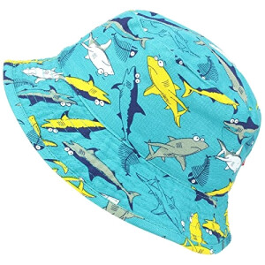 Bob Requin turquoise fille/garçon