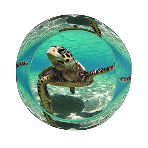 Bob Tortue de mer taille unique homme/femme variant 2 