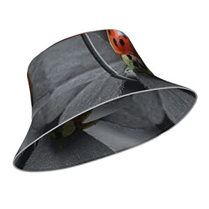 Bob Coccinelle taille unique homme/femme