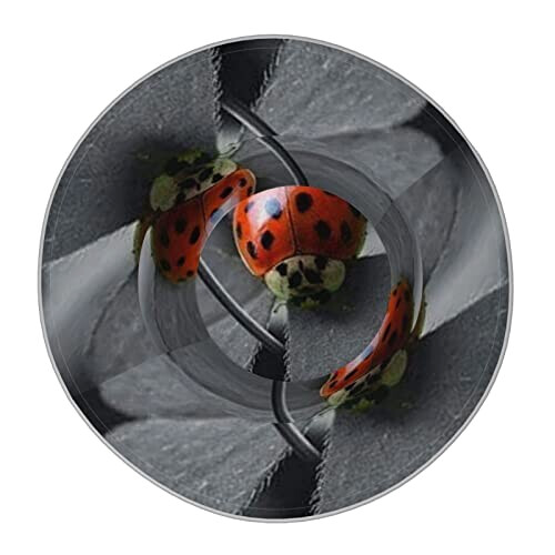 Bob Coccinelle taille unique homme/femme variant 1 