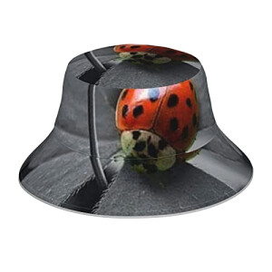 Bob Coccinelle taille unique homme/femme