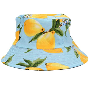 Bob Citron bleu taille unique homme/femme