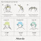 Bob Tomate homme/femme - miniature variant 1